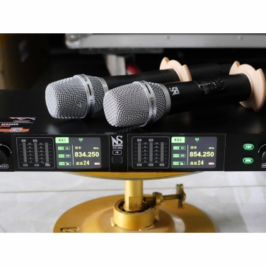 Micro 2 Tay Mic New Sound NS DX-880